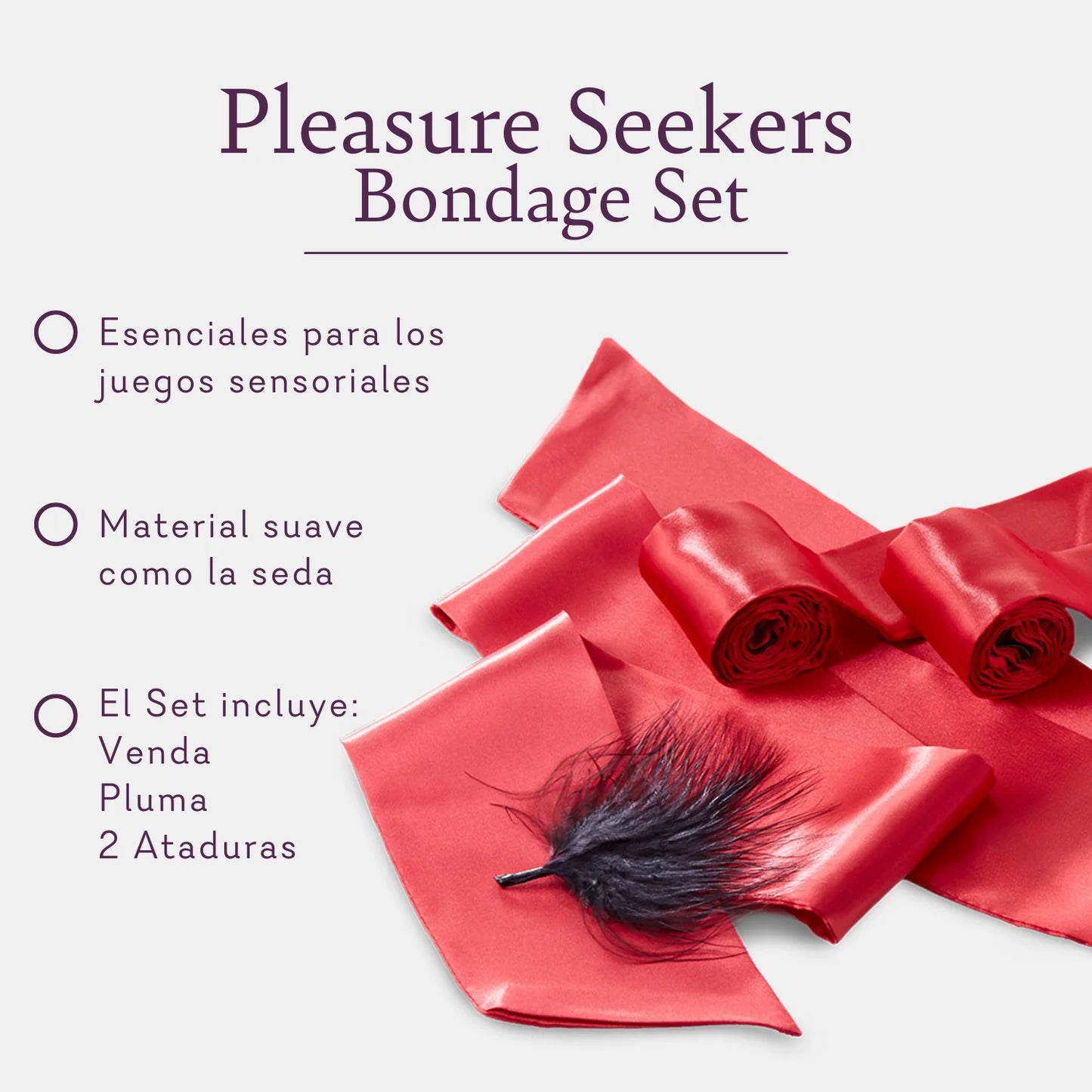 Pleasure Seekers Play Set (Juego de Venda, Ataduras y Pluma)